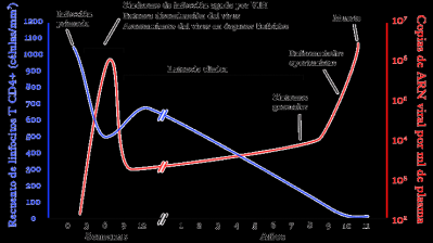 &iquest;Qu&eacute; da&ntilde;os produce la enfermedad?